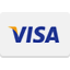 Visa Logo